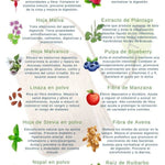 PROGRAMA COMPLETO DETOX  + ENVIO GRATIS